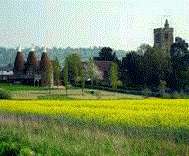 Horsmonden Field