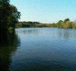 Horsmonden Lake